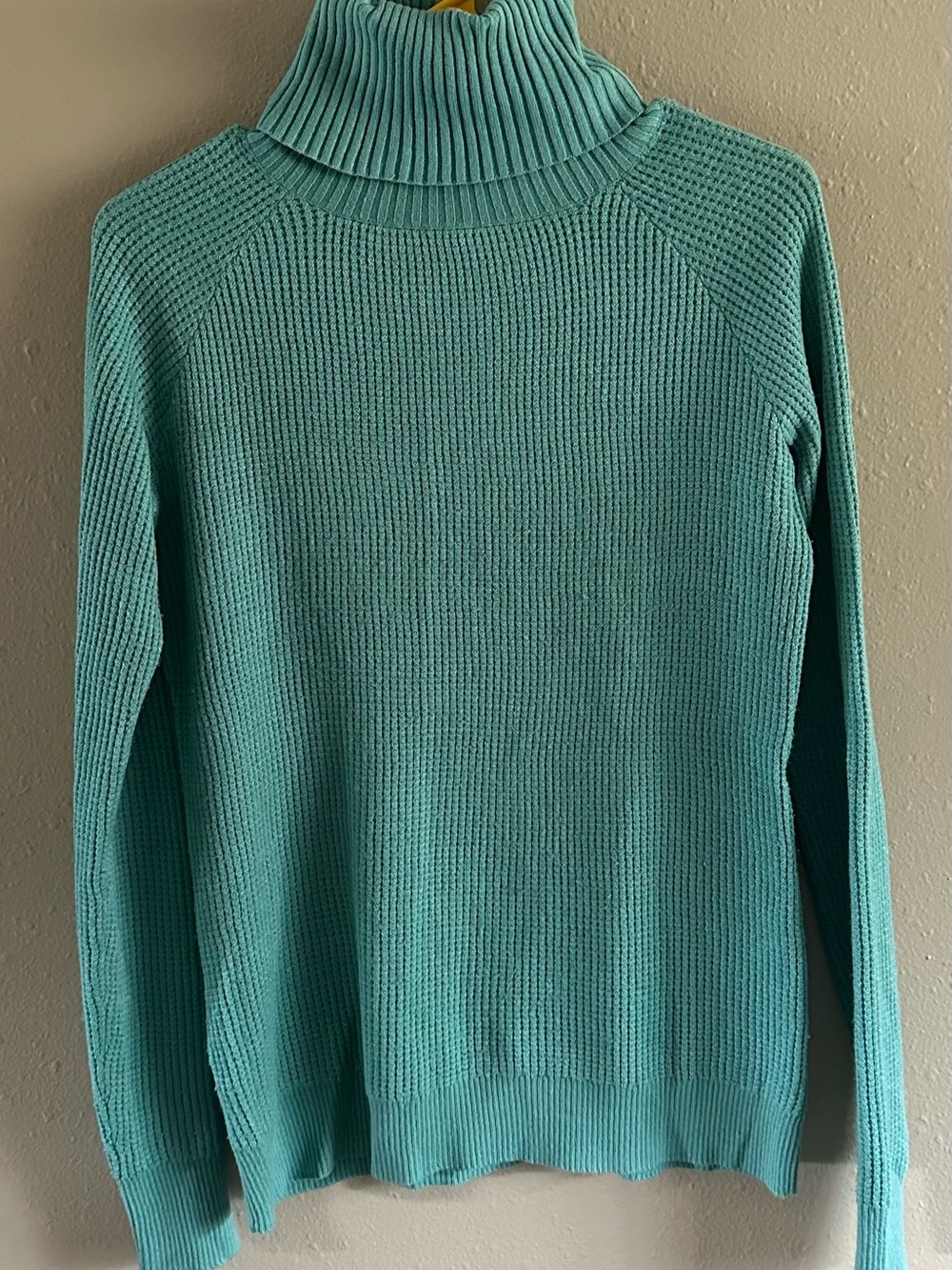 BCBGeneration Teal Ribbed Turtleneck Sweater